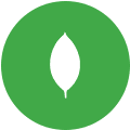 Mongo Express logo