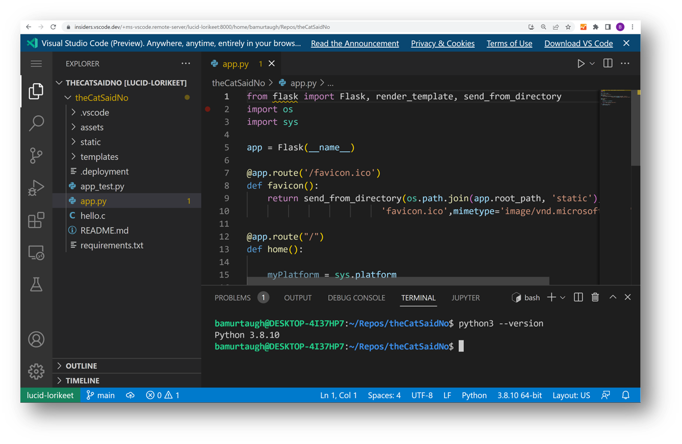 Visual Studio Code Server Screenshot
