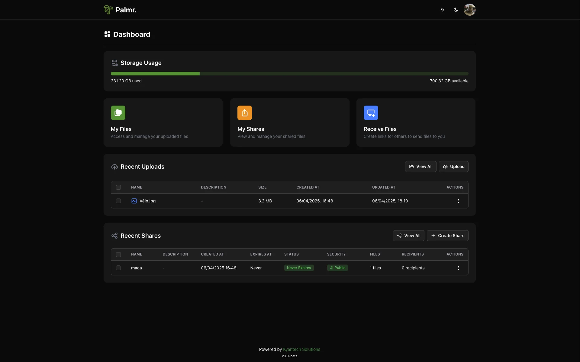 Palmr Screenshot