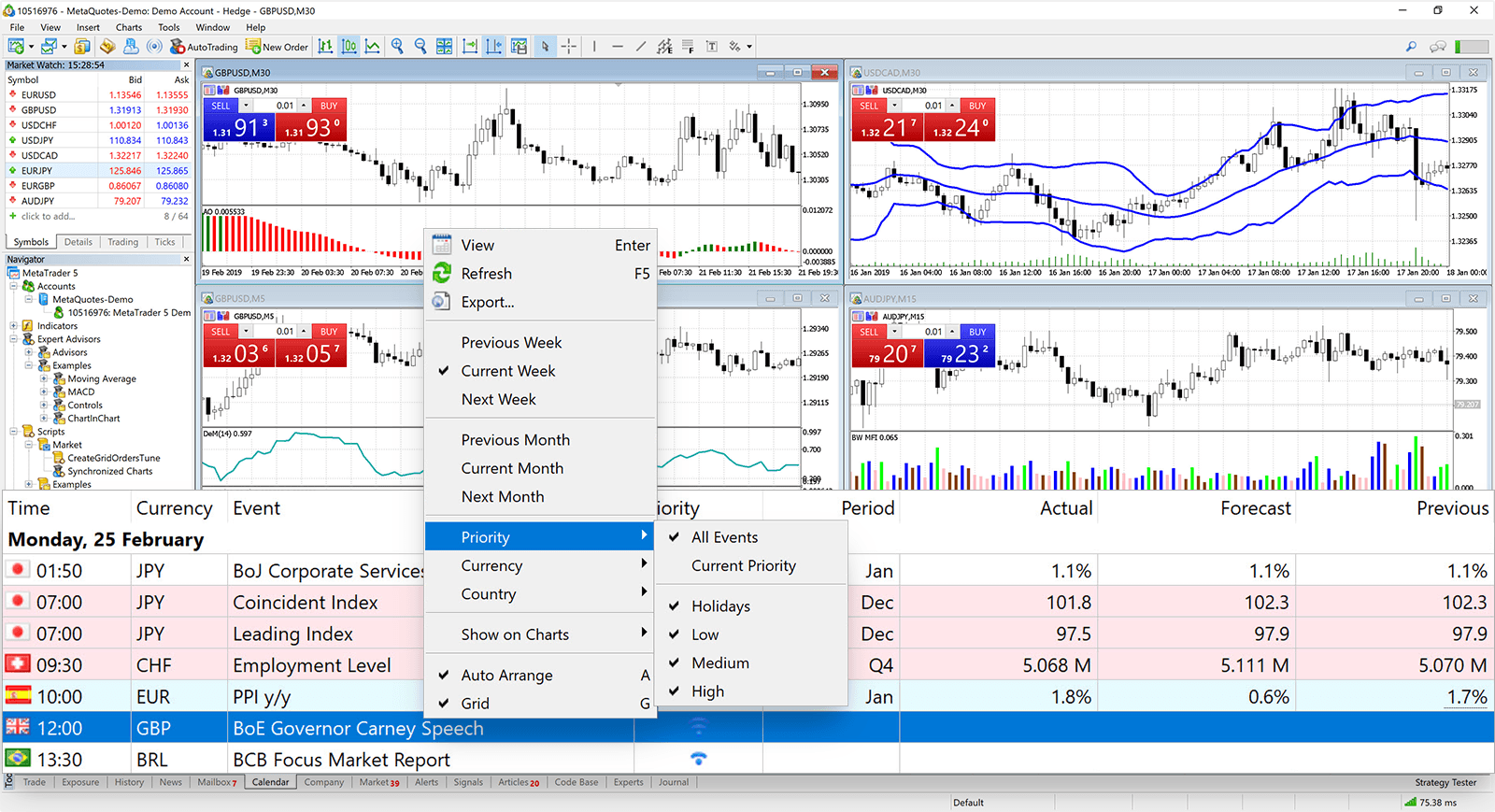 MetaTrader5 Screenshot